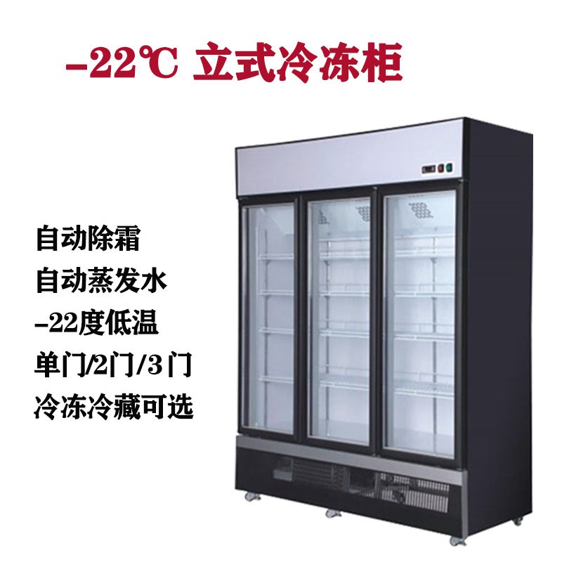 凌雪冷柜河南冰柜生产厂家 立式冷冻柜冷冻食品展示柜批发