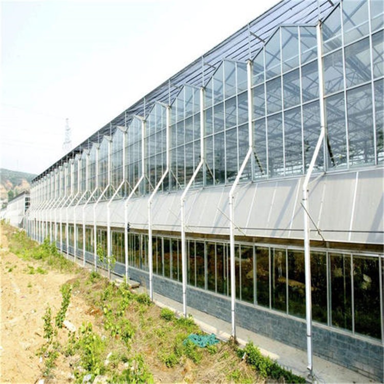 温室大棚与拱式大棚造价 北京pc板温室大棚建设 旭航温室图片
