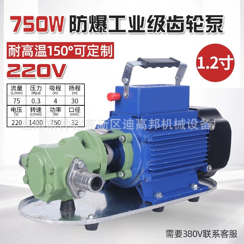 WCB高粘度电动齿轮油泵304不锈钢WCB-30配750W电机图片