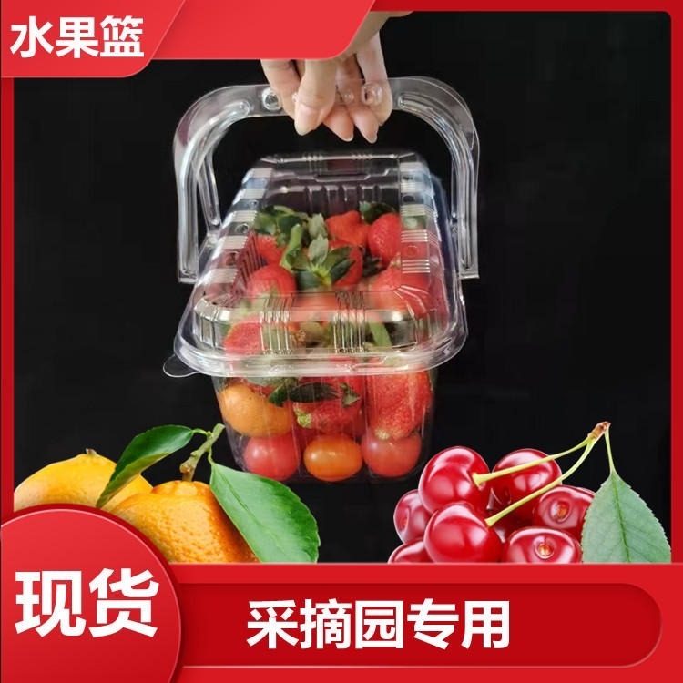现货水果篮 手提一次性带盖水果篮 草莓樱桃包装盒图片