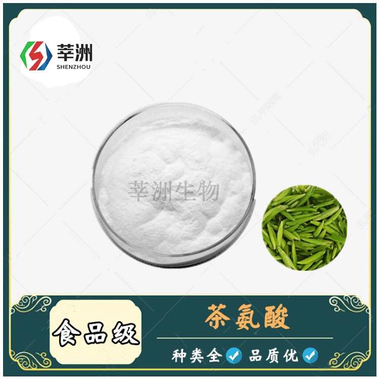 莘洲生物 现货提供 食品级 茶氨酸 L-茶氨酸 99 厂家直销 欢迎订购