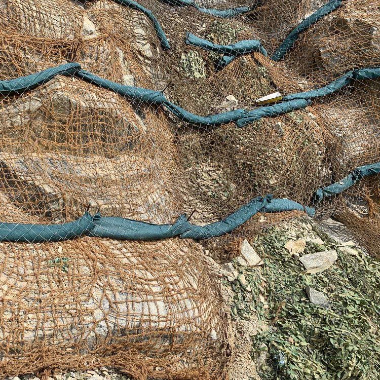 众汇生态环保椰纤维网边坡喷播绿化