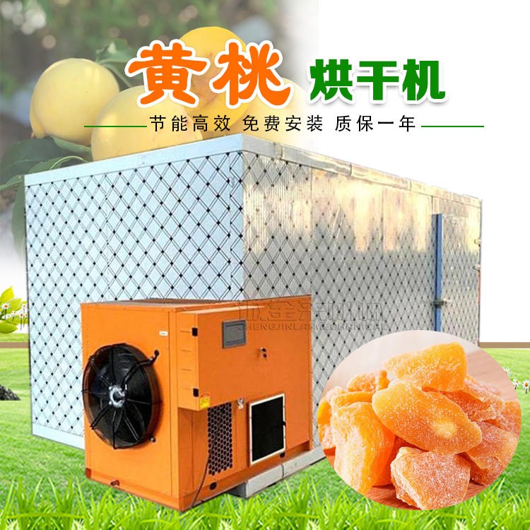 黄桃烘干机 果脯烘干房 诚金来空气能热泵干燥箱