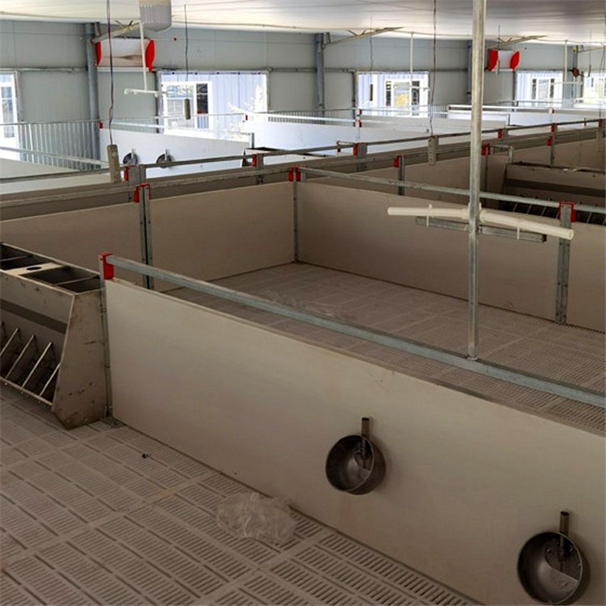 按需定制 欧式连体保育床 定位栏产床 猪哈哈养猪设备