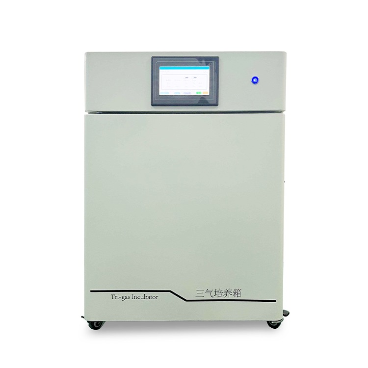 高校三气培养箱CYSQ-100-III 大容量多种容积气体箱 智能多气体培养箱