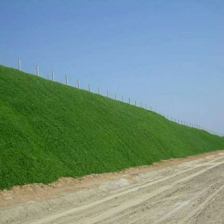 河南 团粒剂园林绿化工程边坡绿化客土喷播图片