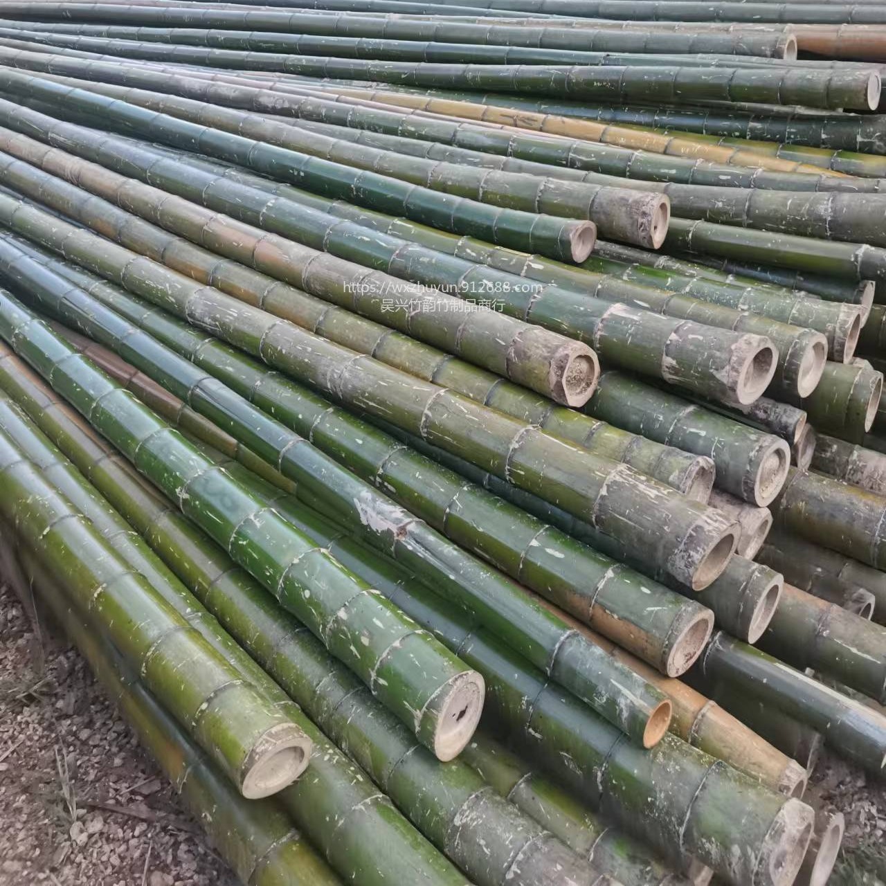 竹韵竹制品厂家绿化撑树小毛篙养殖用小毛竹搭棚竹杆子