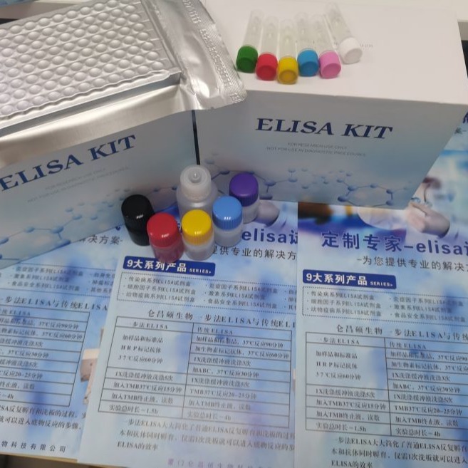 小鼠白细胞介素37试剂盒  IL37elisa试剂盒  仑昌硕生物
