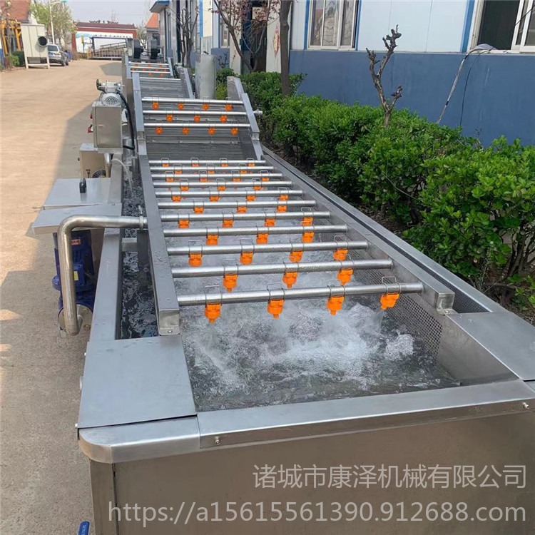 上海青清洗机 小白菜气泡清洗设备 果蔬清洗生产线 性能稳定 康泽SZ3000型