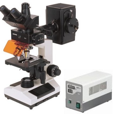 XSN-N107荧光显微镜 显微镜 三目正置荧光显微镜 荧光显微镜 三目显微镜