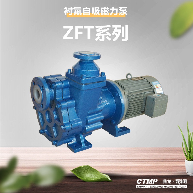 80ZFT-30耐酸碱自吸泵 内衬氟塑料泵 自吸泵厂家 腾龙泵阀