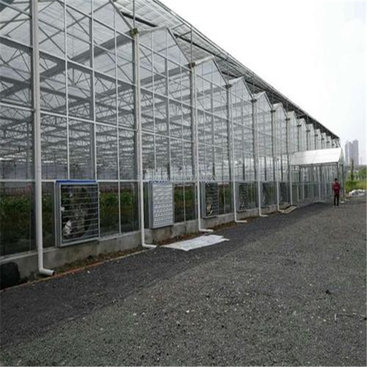 河北玻璃温室造价  梭子蟹养殖大棚  旭航温室工程建设厂家