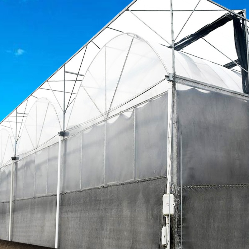 舜禹农业温室 薄膜大棚 薄膜大棚设计 薄膜温室安装 钢结构温室