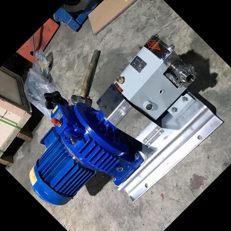 凸轮式双转子泵 鸿海泵业 凸轮泵 高粘度转子泵 支持定制
