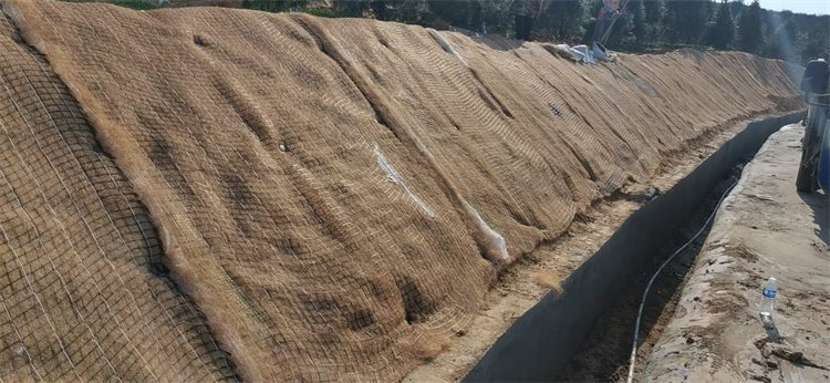 众汇植被恢复绿化椰丝植草毯防护