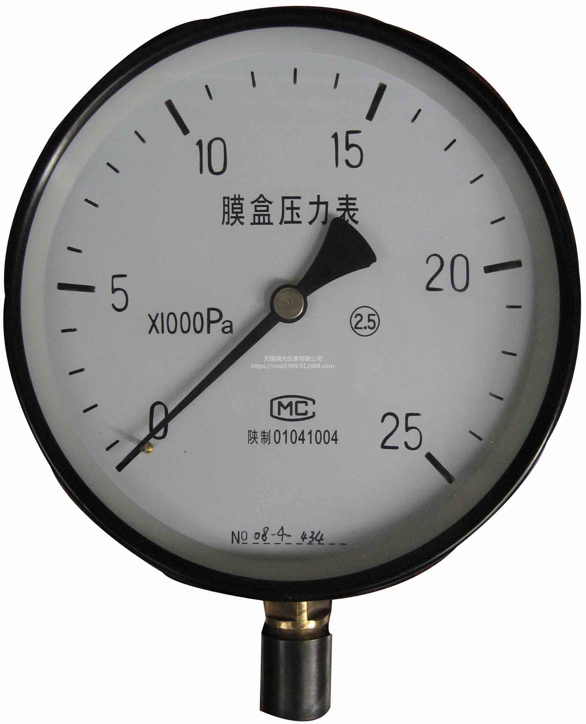 浦光仪表环境温度70℃卫生型不锈钢耐震隔膜精密数字压力表YN-100