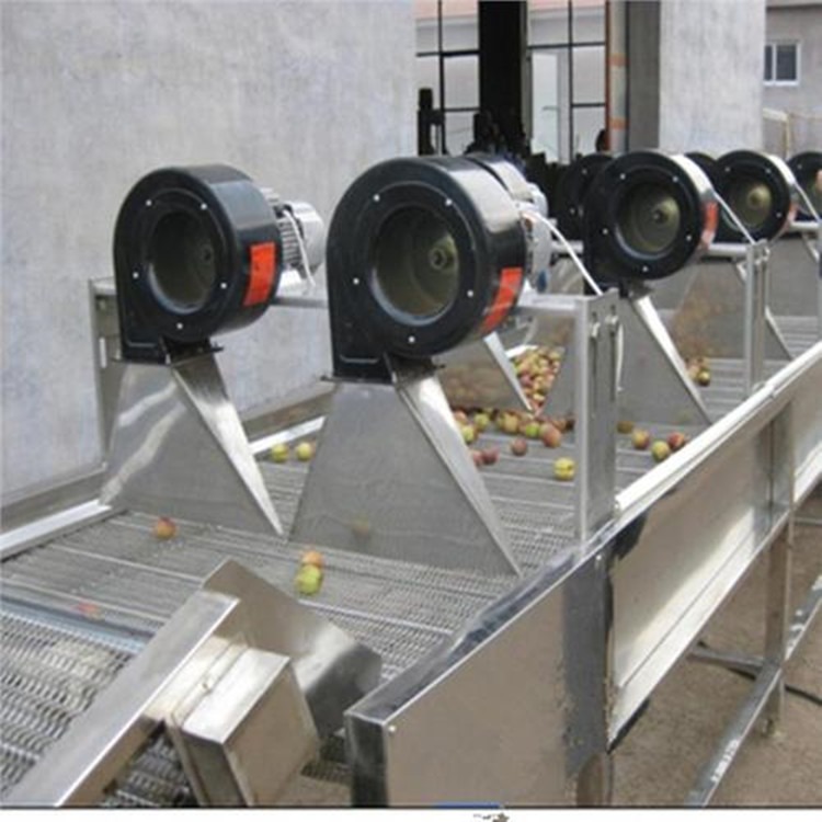 蔬菜清洗风干机 食品振动沥水风干机 常温风吹干设备 顺泽机械实体厂家图片