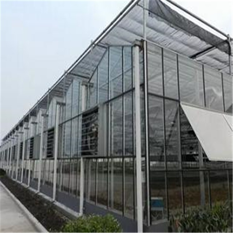 砖砌玻璃保温大棚 西安做外贸的温室公司 旭航温室大棚设计
