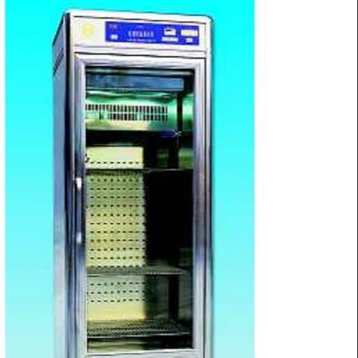 电脑恒温层析柜（250L）型号:CXG-1库号：M162728图片