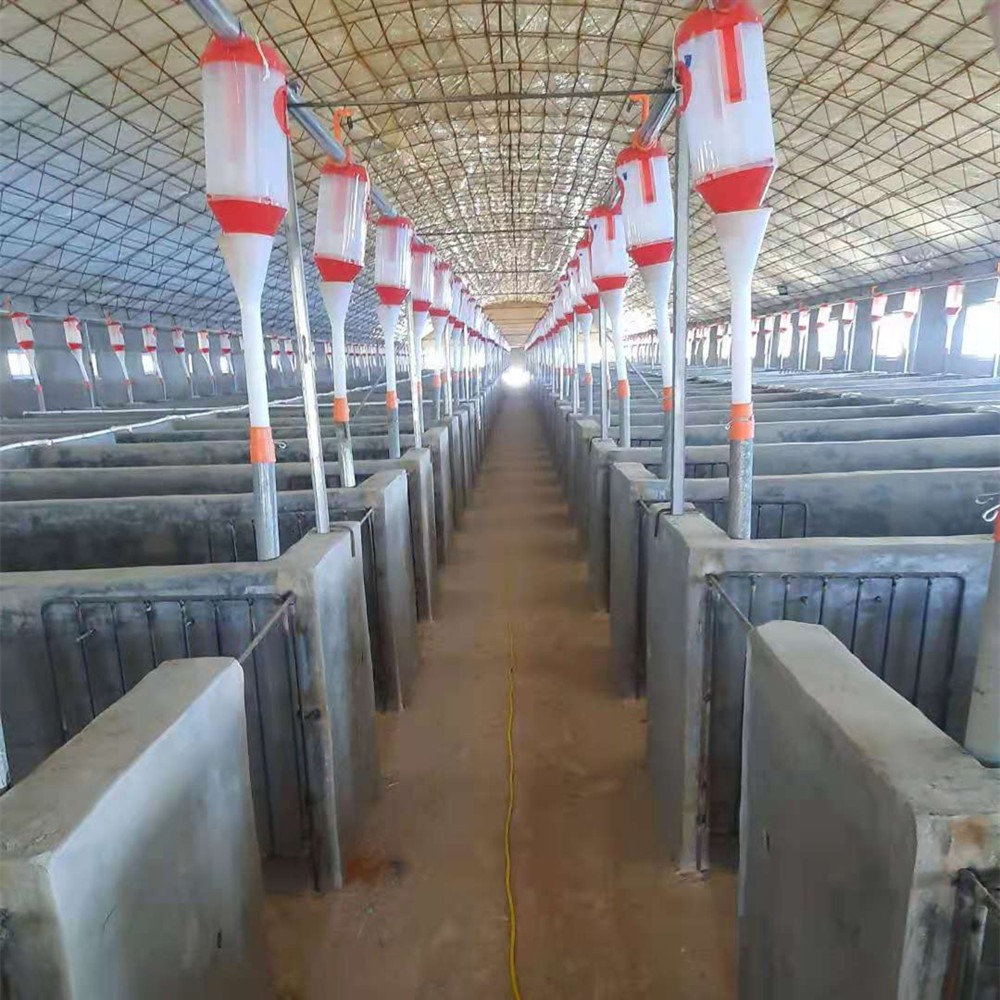 世昌畜牧 猪场自动化料线安装   料线尺寸 料线价位