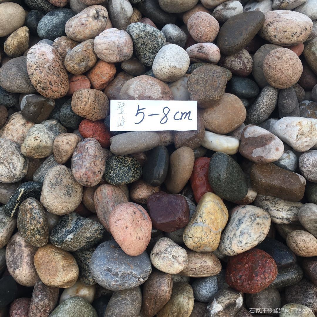 2-3cm天然鹅卵石 污水处理河卵石 庭院铺路河滩石 盆栽填充材料