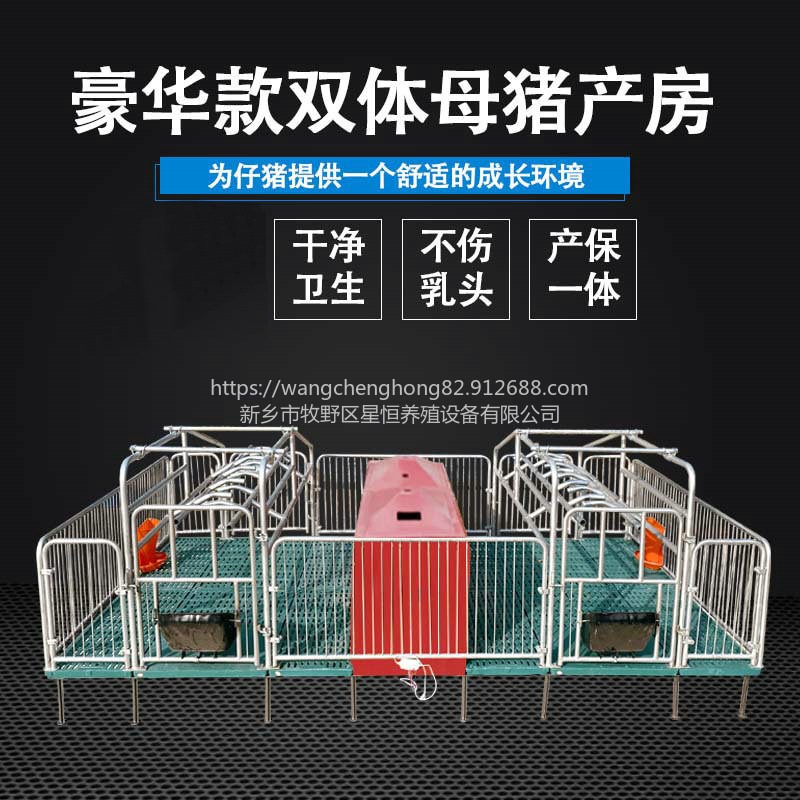 星恒机械养猪产床双体母猪产床仔猪欧式母猪一体产床定位栏保育床养猪设备