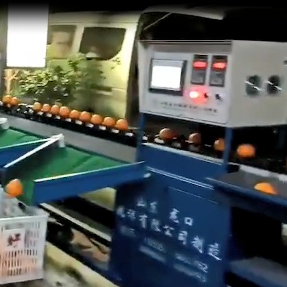 柑橘光电分选机 全自动柑橘洗果选果机 脐橙分选机