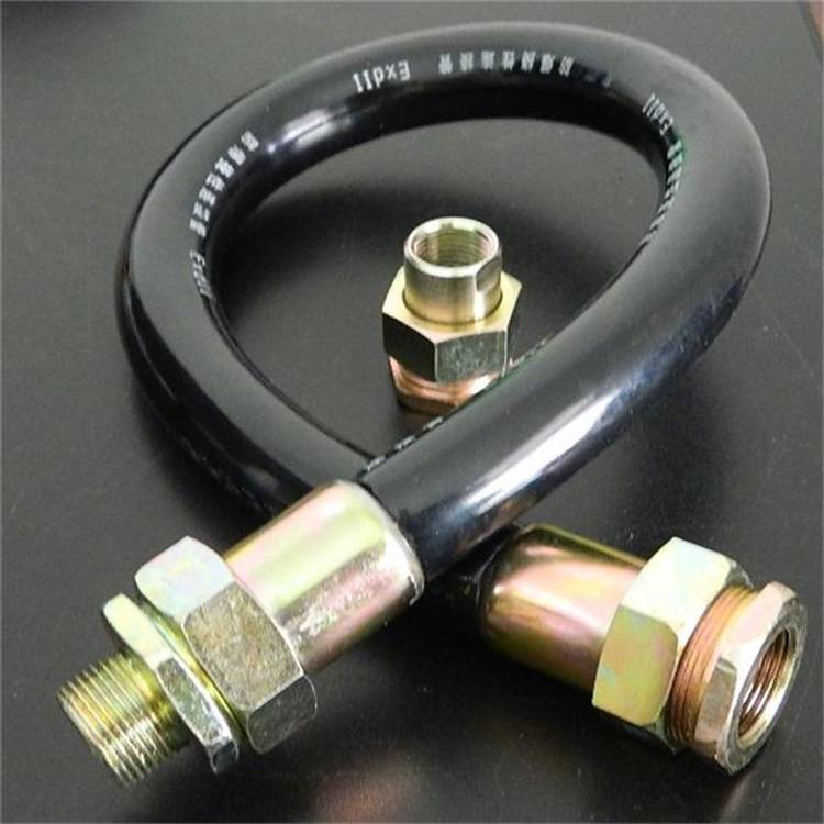 PVC护套防爆挠性连接管橡胶BNG20*700镀锌包塑绕行接线管配锁扣