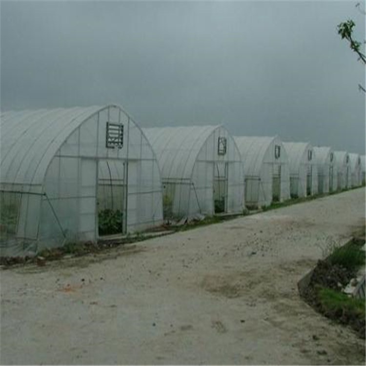 云南养殖大棚造价农家蔬菜大棚搭建  旭航温室大棚建设图片