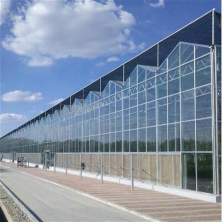 中国薄膜连栋温室设计 单体大棚施工组方案 陕西阳光板温室建设