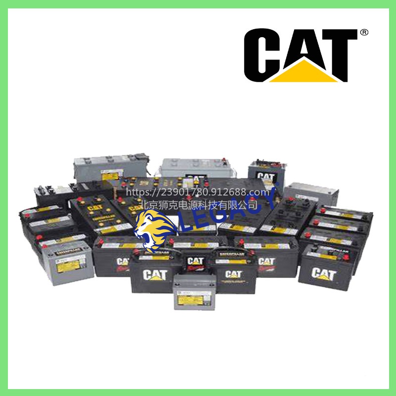 美国CAT蓄电池8C-3600，12V45AH电池-北京市经销处