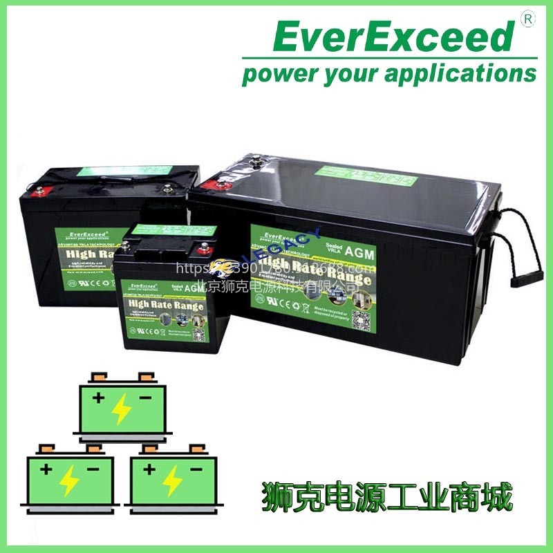 英国EverExceed蓄电池12V65船舶 工业设备电瓶