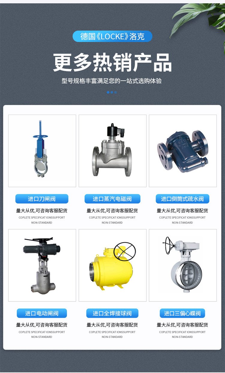 进口低功率电磁阀 产品特点 德国洛克示例图3