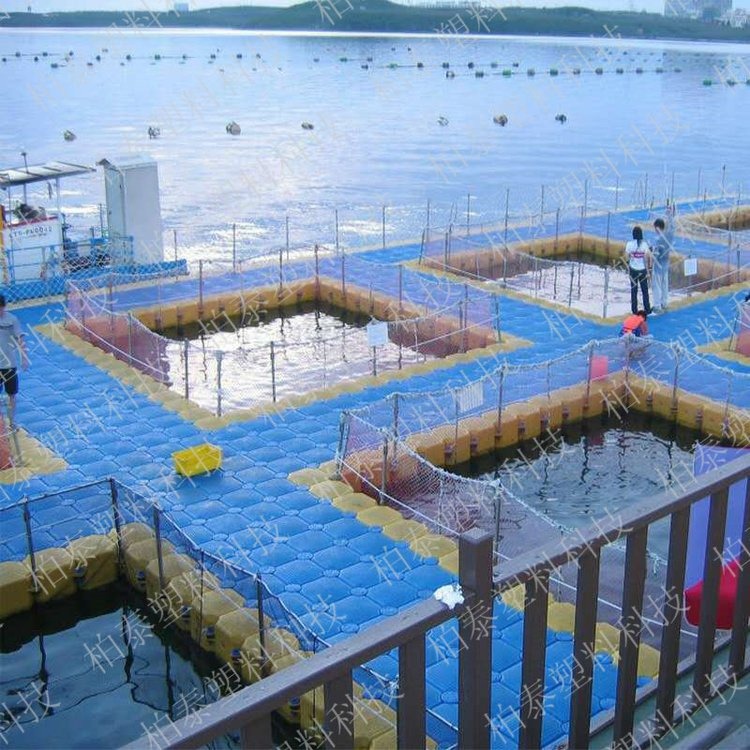 塑料水上拼接块浮桥码头水上承重浮箱供应厂家钓鱼漂浮平台