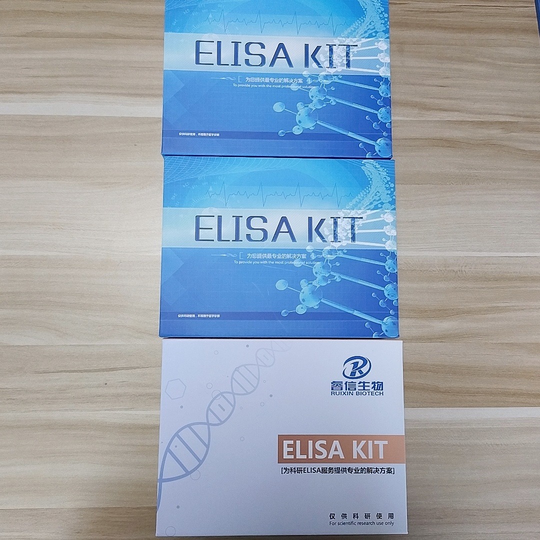 细胞因子检测 检测试剂盒 山羊ELISA试剂盒 睿信生物