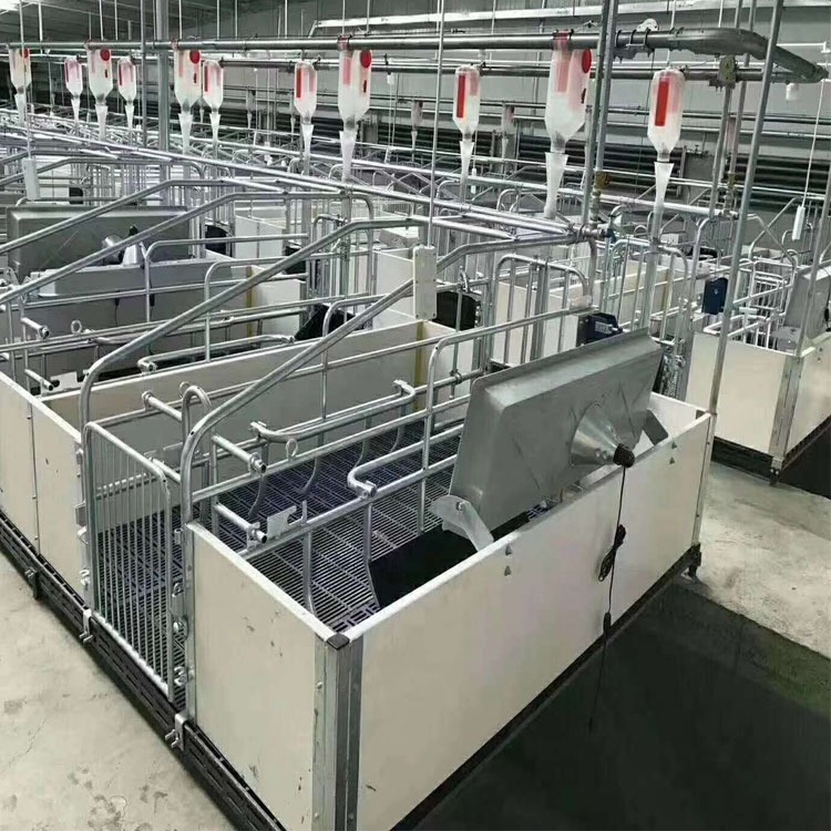 按需供应 全自动料线 猪哈哈 养殖自动喂料线 自动料线优势 改进饲养条件 减少劳动力