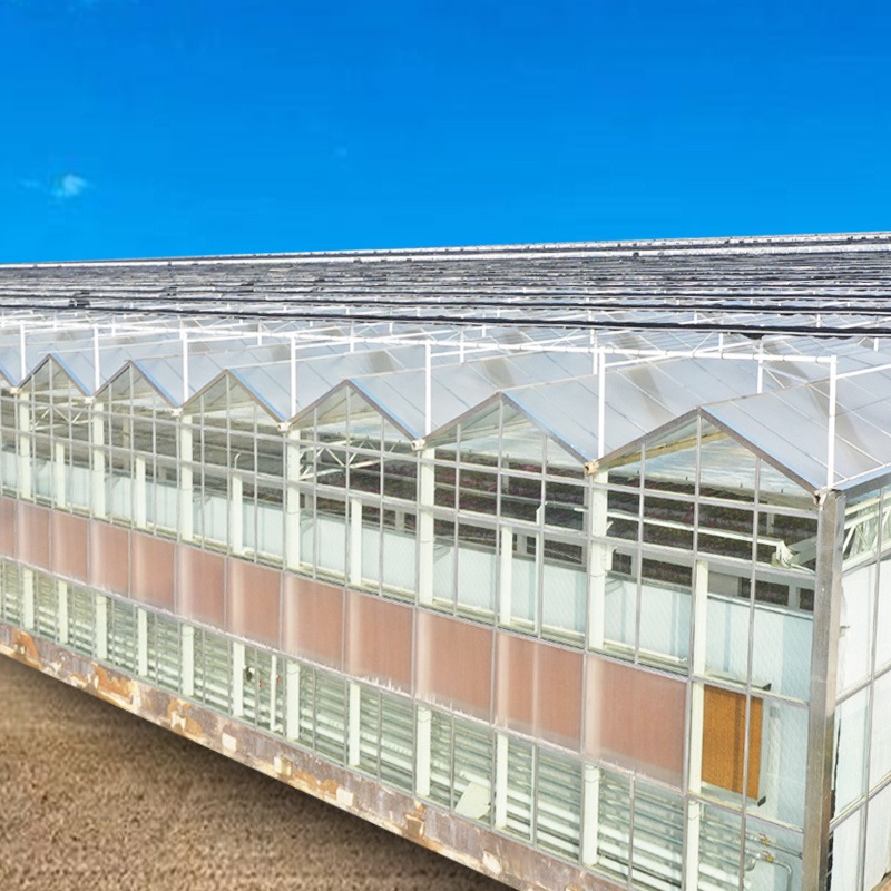 玻璃大棚设计 舜禹玻璃大棚价格 玻璃温室厂家 玻璃温室材料