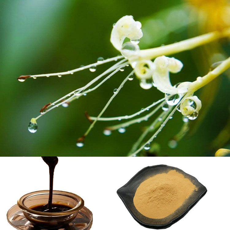 斯诺特生物 企标产品金银花粉 型式检验报告