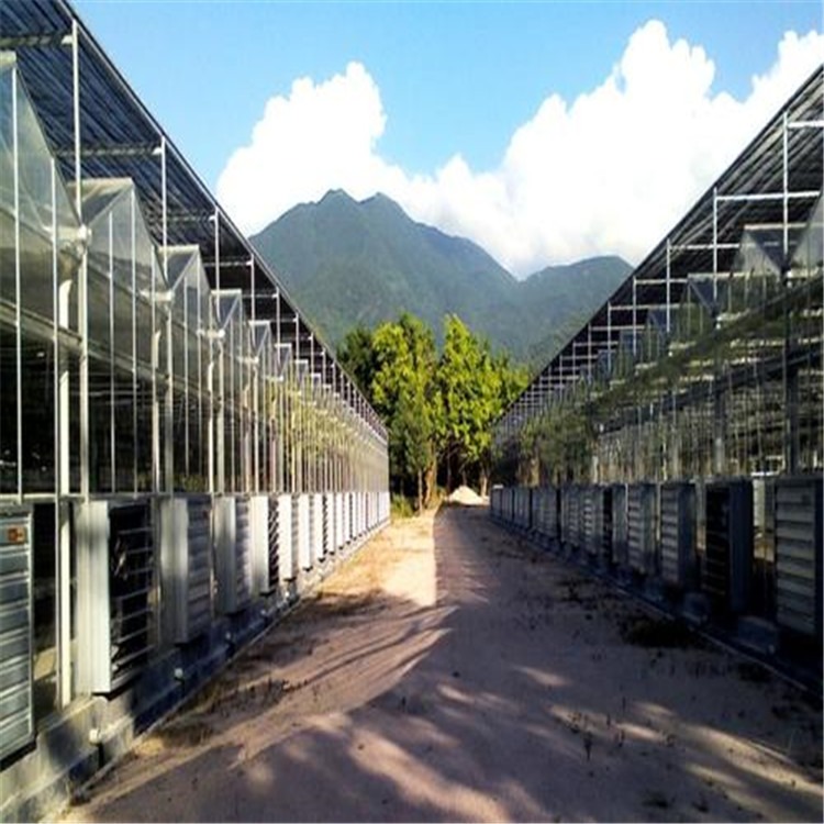 青海日光温室建设 现在的农业玻璃科技大棚  旭航温室大棚建造