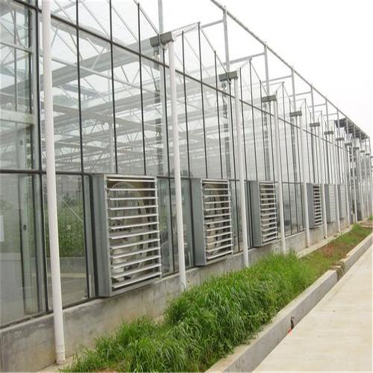 玻璃连栋智能温室建设 屋顶智能温室 旭航温室大棚设计