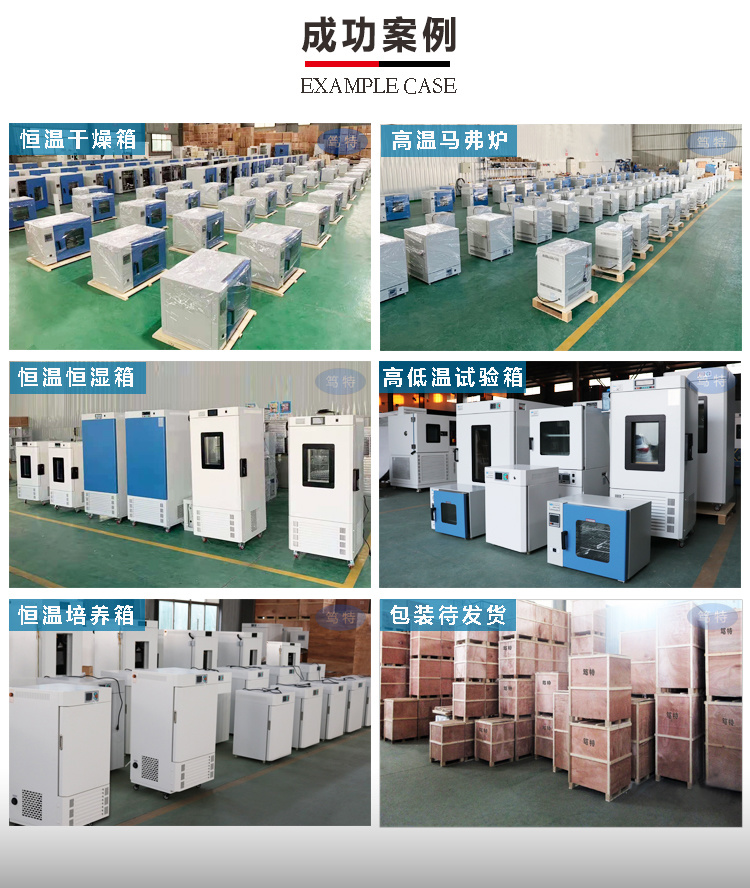 上海笃特厂家热销DHR-9013A小型干热灭菌消毒箱 电热热风烘干箱示例图10