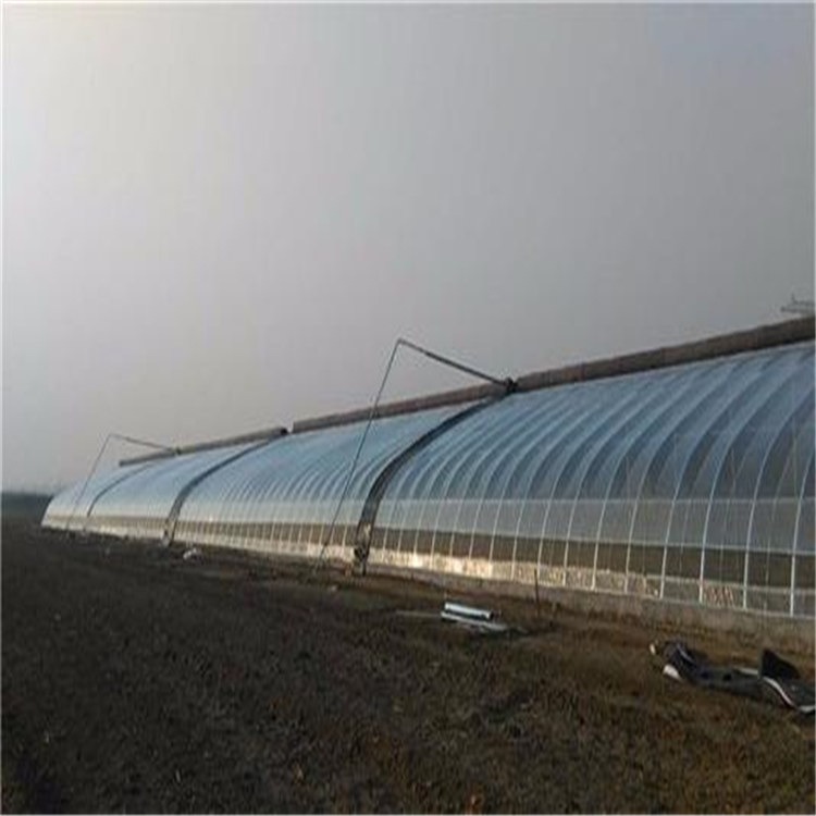 济南市温室大棚公司 双热镀锌管大棚建设 旭航温室图片