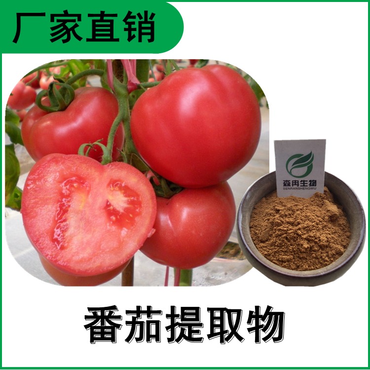 番茄提取物10:1 西红柿浓缩粉 番茄红素 比例提取 植物提取原料粉