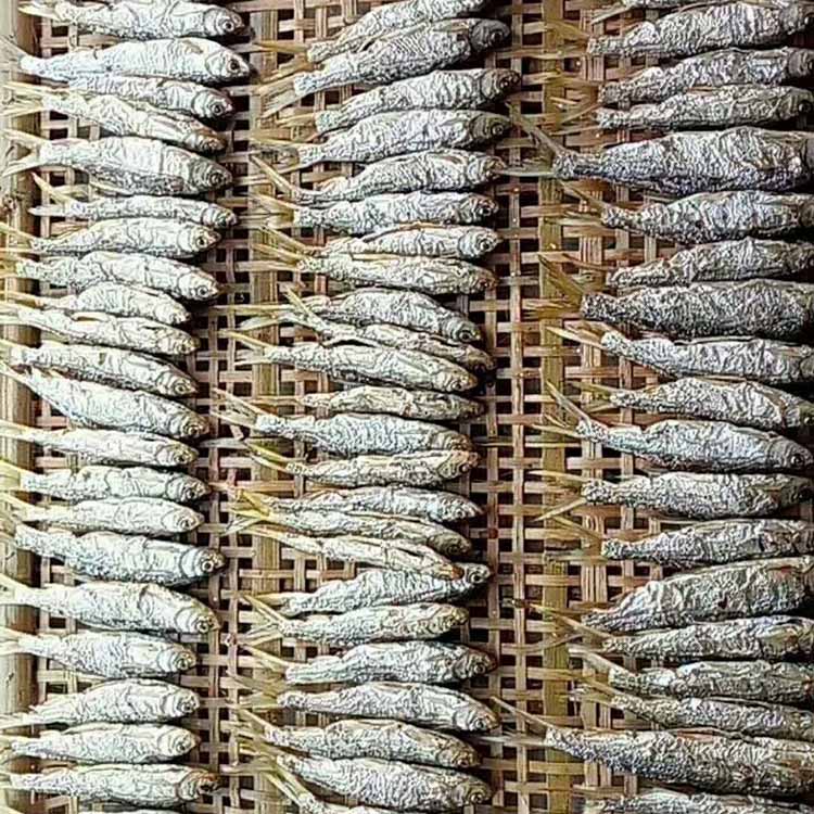 瓜蒌皮瓜蒌根干燥机 柴火笋干烤箱 鸿宇机械 冬瓜皮带式干燥设备 厂家发货