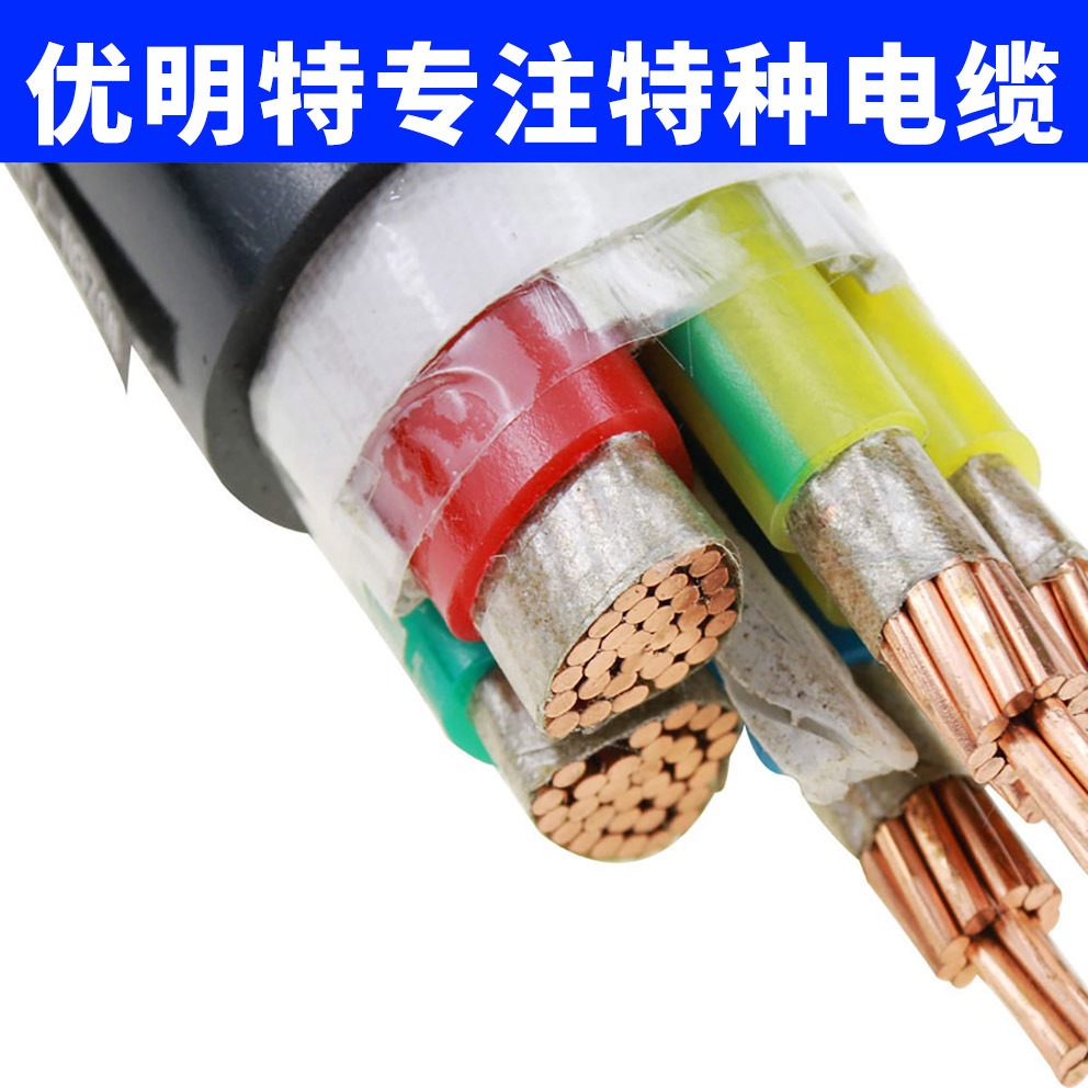 BPLTER-GS电缆 BPLTER电缆 变频高温软电缆 生产厂家 优明特大量现货库存