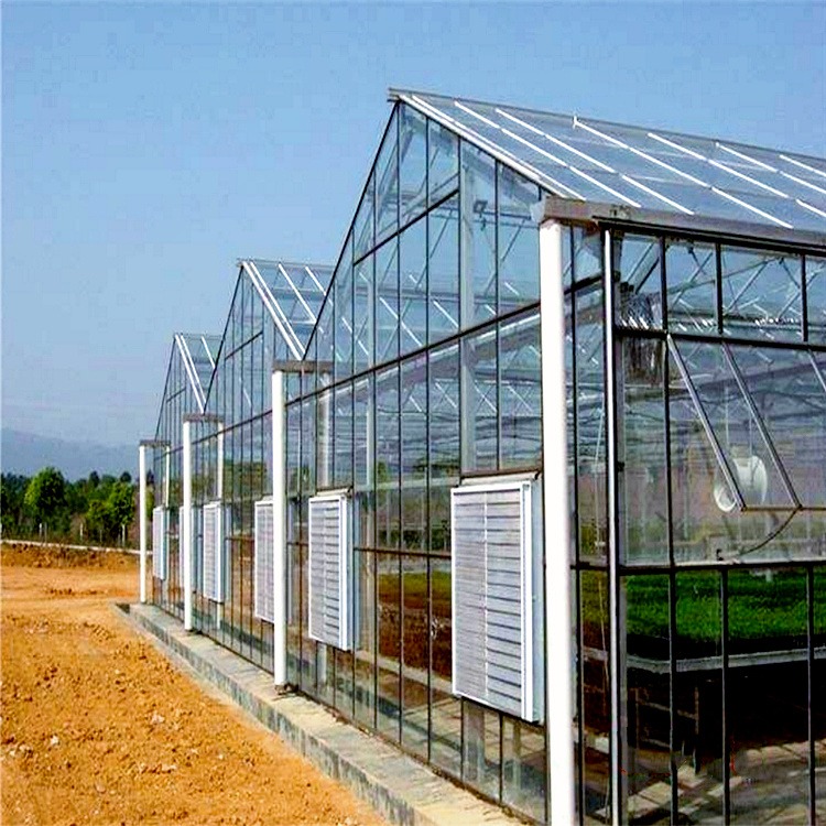 玻璃温室 石斛种植 钢架大棚安装  通风效果好 抗风暴设计