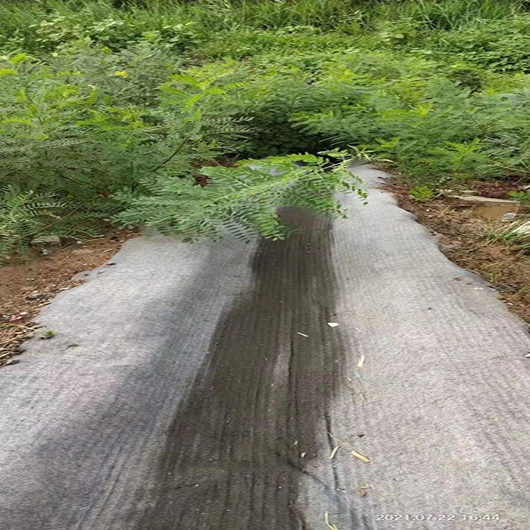 众汇10公斤复合水泥垫水产品养殖场