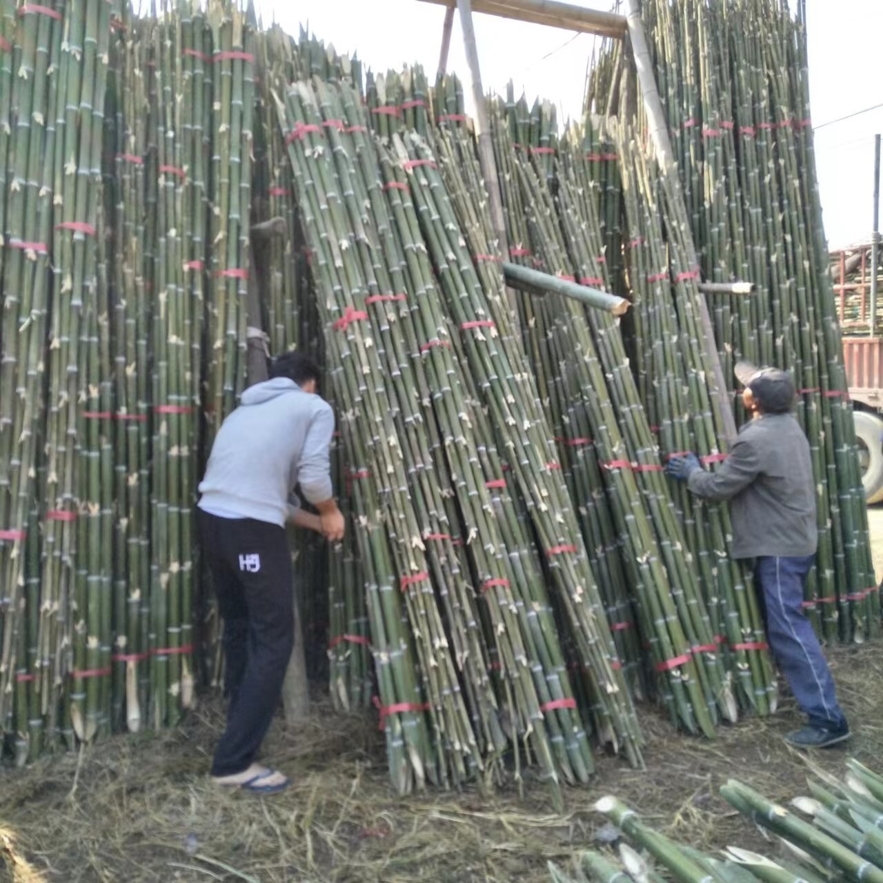 竹韵竹制品厂家批发优良农用搭架竹竿 菜架竹 绿化支撑竹梢 竹杆子等各种品种规格齐全