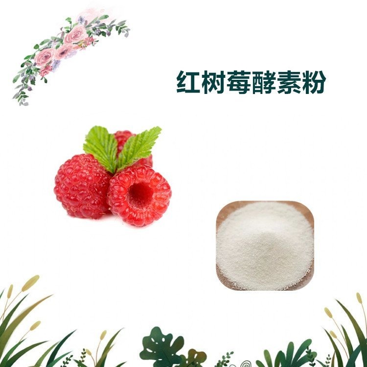 益生祥生物 红树莓酵素粉 提取物 喷雾干燥粉 食品级原料