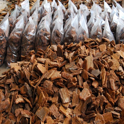打磨松树皮现货供应 精加工树皮广场绿化专用